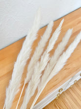 Load image into Gallery viewer, Pampas Grass Stems
